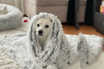 calming blanket