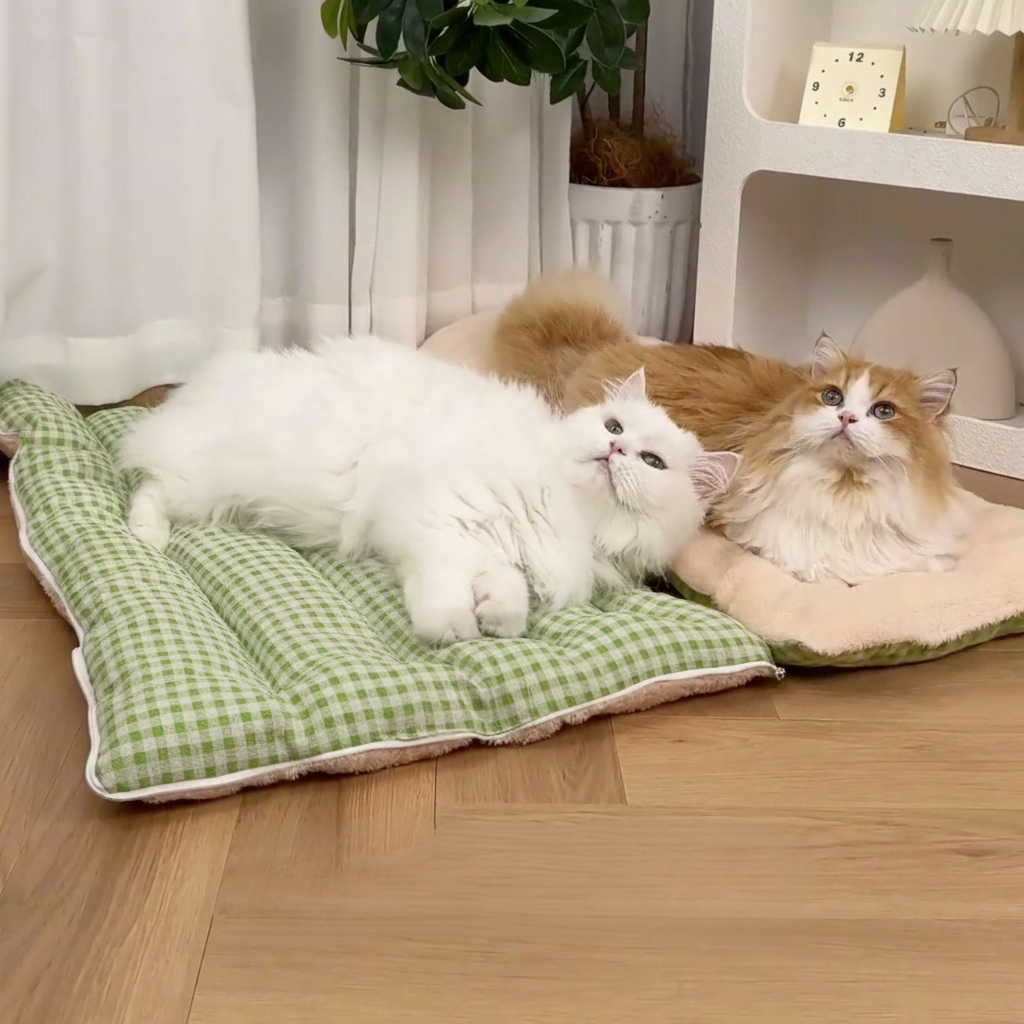 calming cat cave