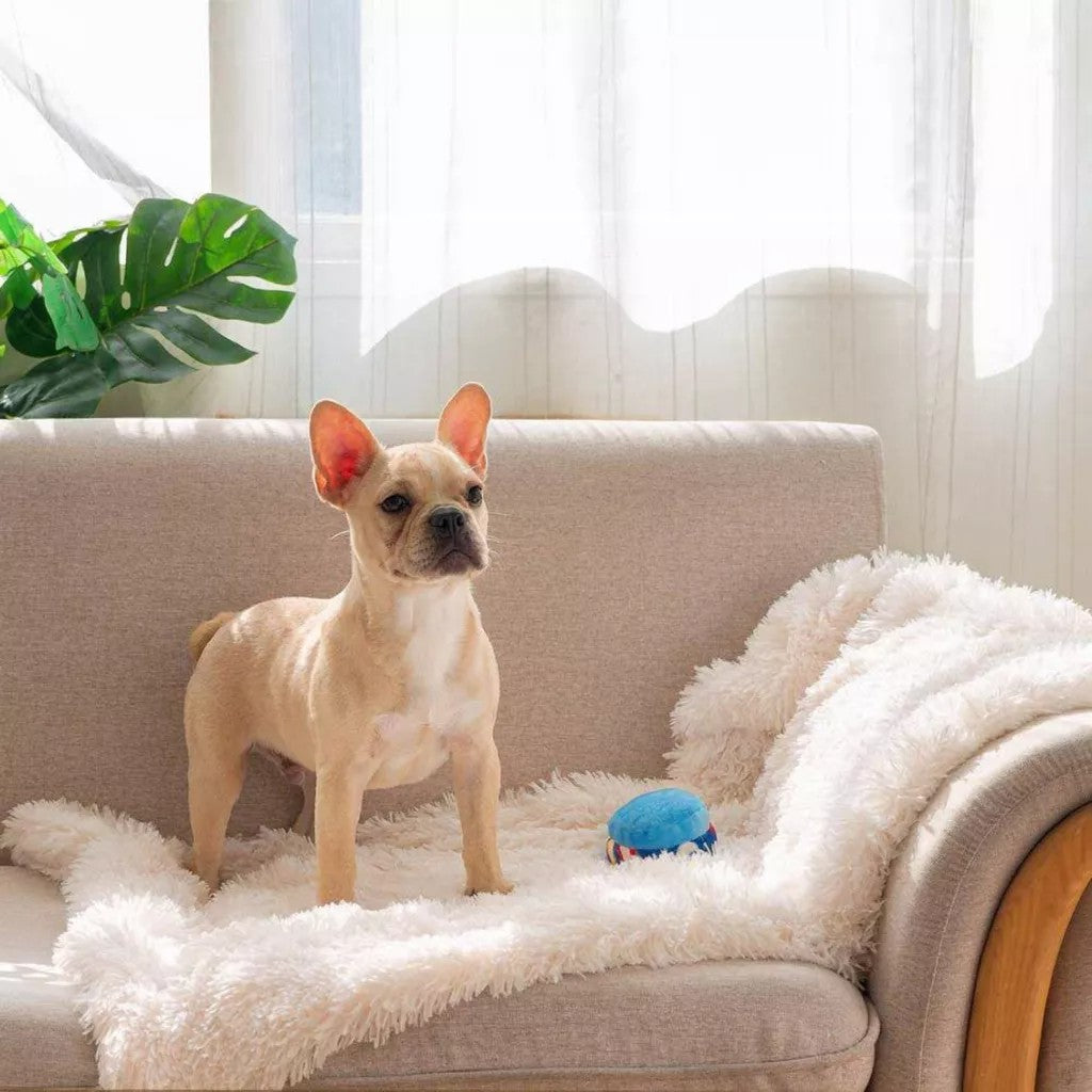 calming blanket