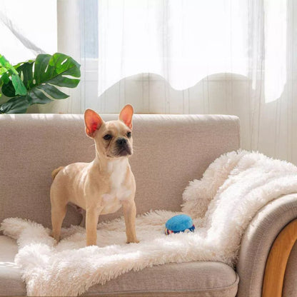 calming blanket